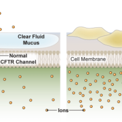 Hhmi central dogma and genetic medicine