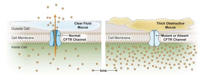 Hhmi central dogma and genetic medicine