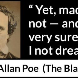 The black cat by edgar allan poe quotes