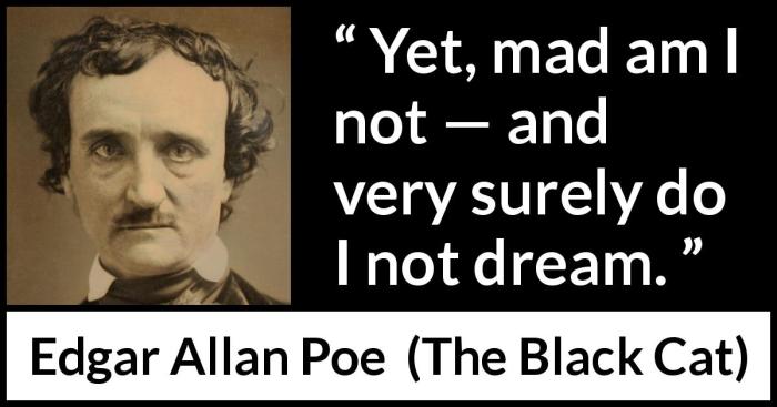 The black cat by edgar allan poe quotes