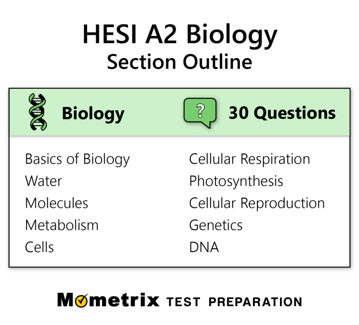 Hesi a2 vocab practice test