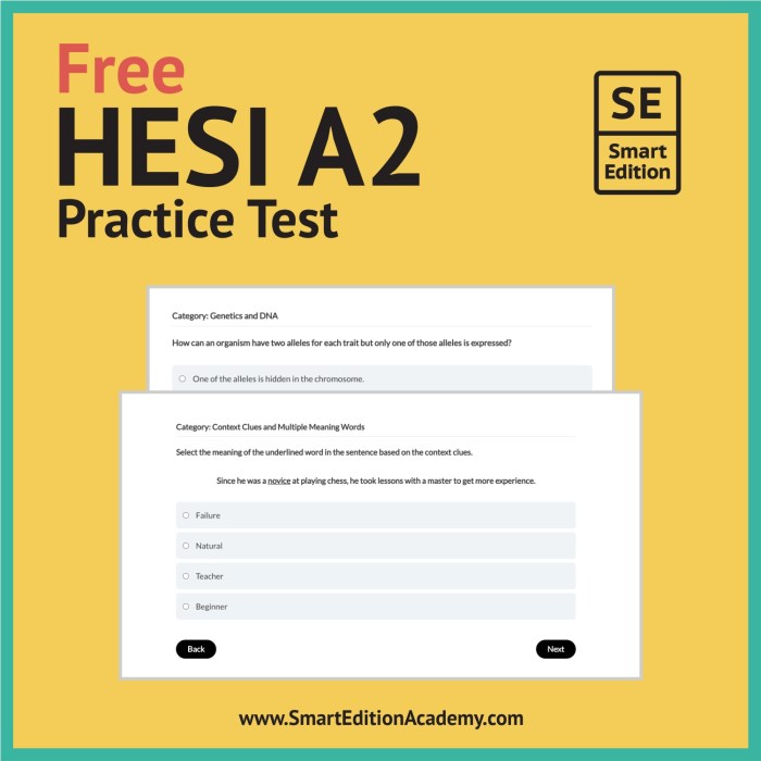 Hesi a2 vocab practice test