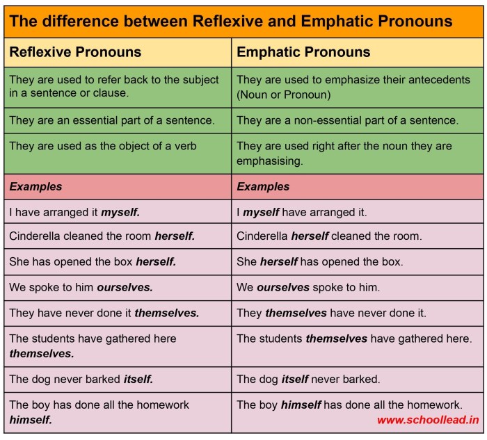 Reflexive or intensive pronouns worksheet