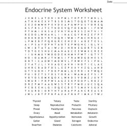 Endocrine system word search answers