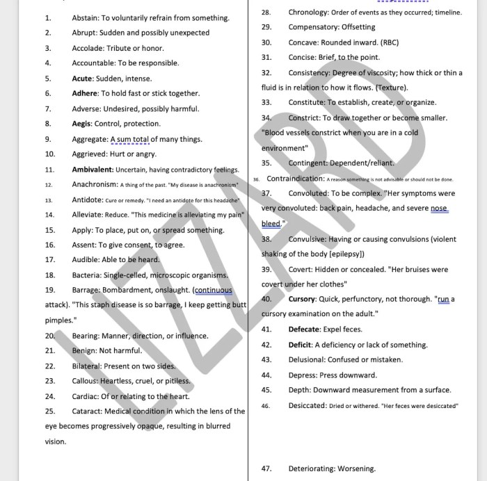 Hesi a2 vocab practice test