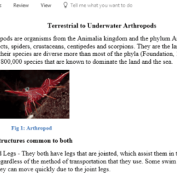 Compare the anatomy of arthropods answer key