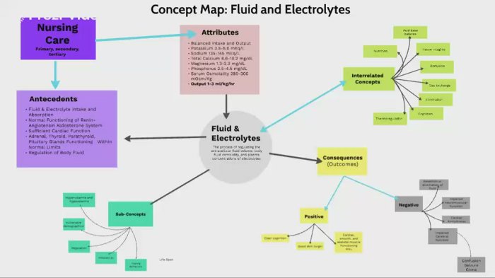 Interactive tutorial fluids and electrolytes